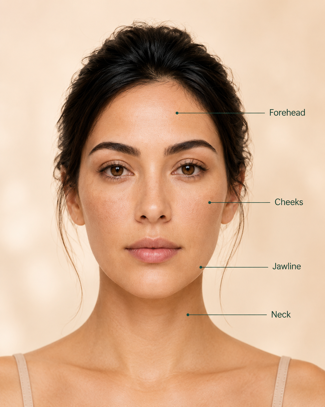 Front-facing portrait of a woman with callout lines identifying the forehead, cheeks, jawline, and neck as common skin-tightening treatment areas.
